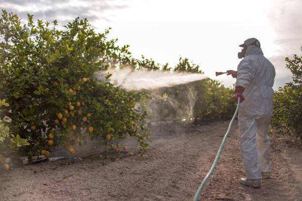 Best Mosquito Control Services  in Roseburg, OR