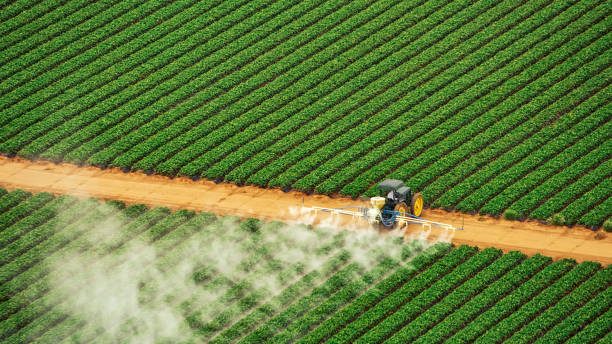 Reliable Roseburg, OR Pest Control Solutions