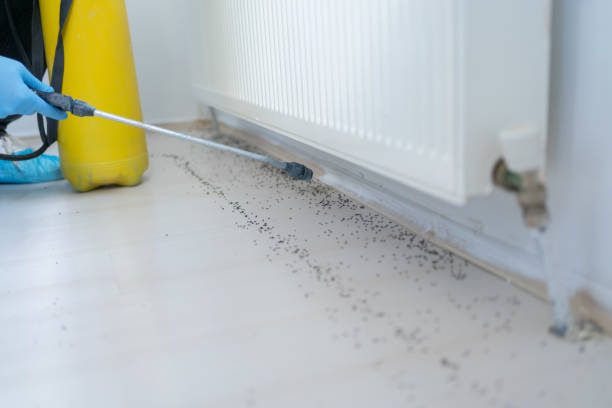 Best Pest Prevention Services  in Roseburg, OR